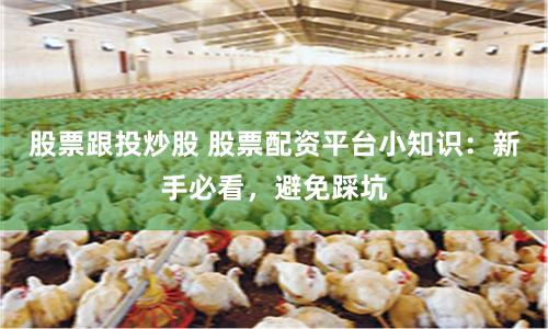 股票跟投炒股 股票配资平台小知识：新手必看，避免踩坑