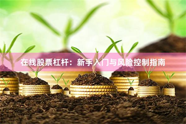 在线股票杠杆：新手入门与风险控制指南